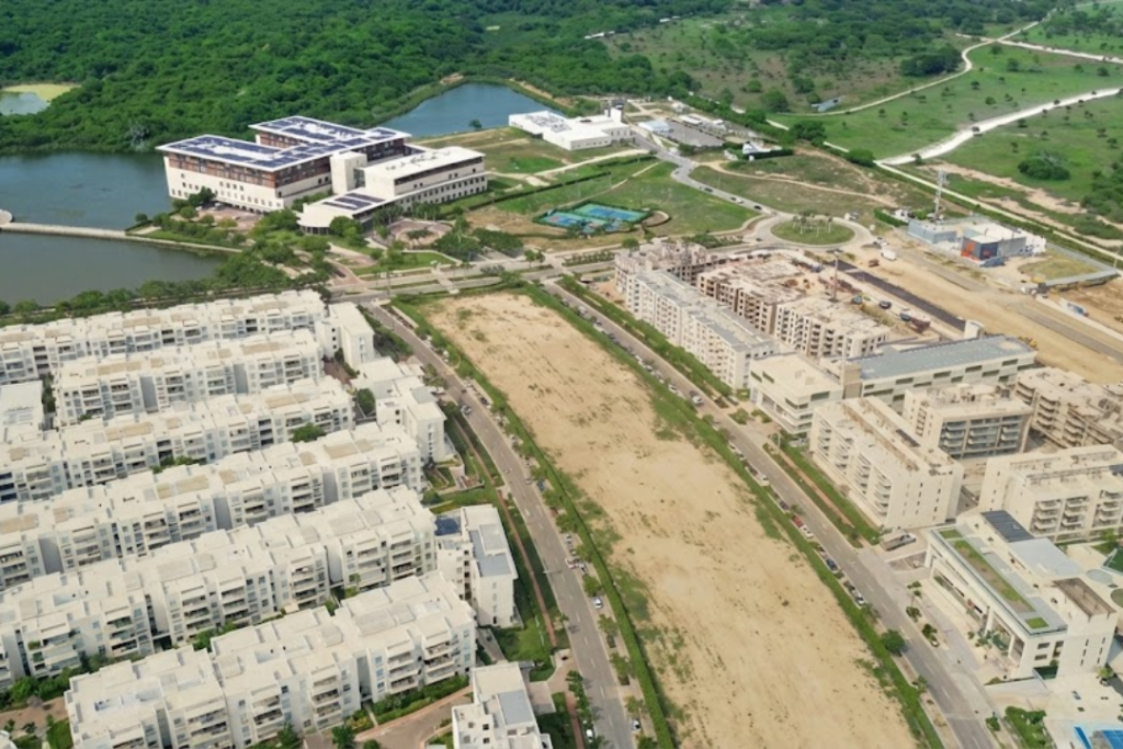 Palmas de Mallorca foto 1